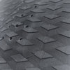 Tail Pad - Basic