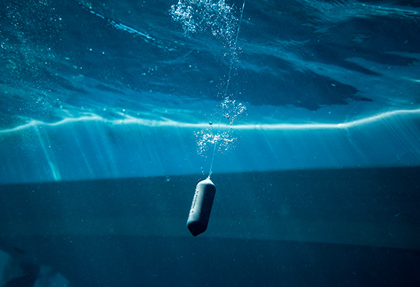 Sharkbanz - Fishing Tackle Deterrent 'Zeppelin' NZ | Curve Surfboard ...